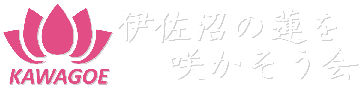 伊佐沼の蓮を咲かそう会